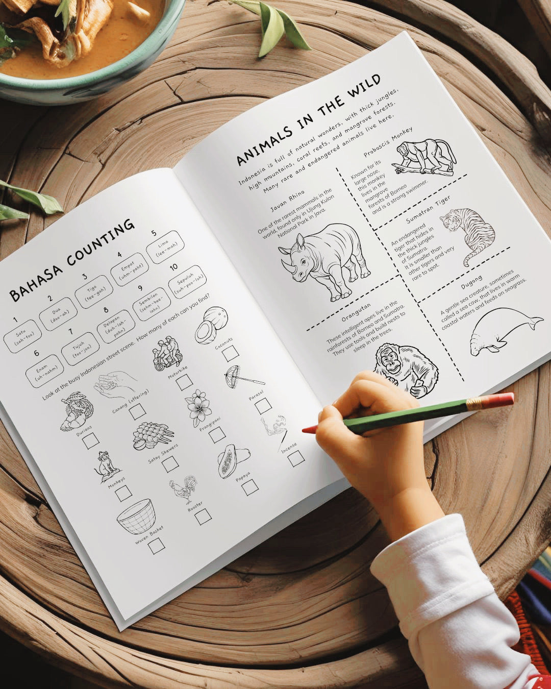 Indonesia Country Discovery Pack - PRINTABLE