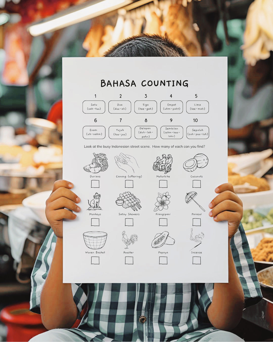 Indonesia Country Discovery Pack - PRINTABLE