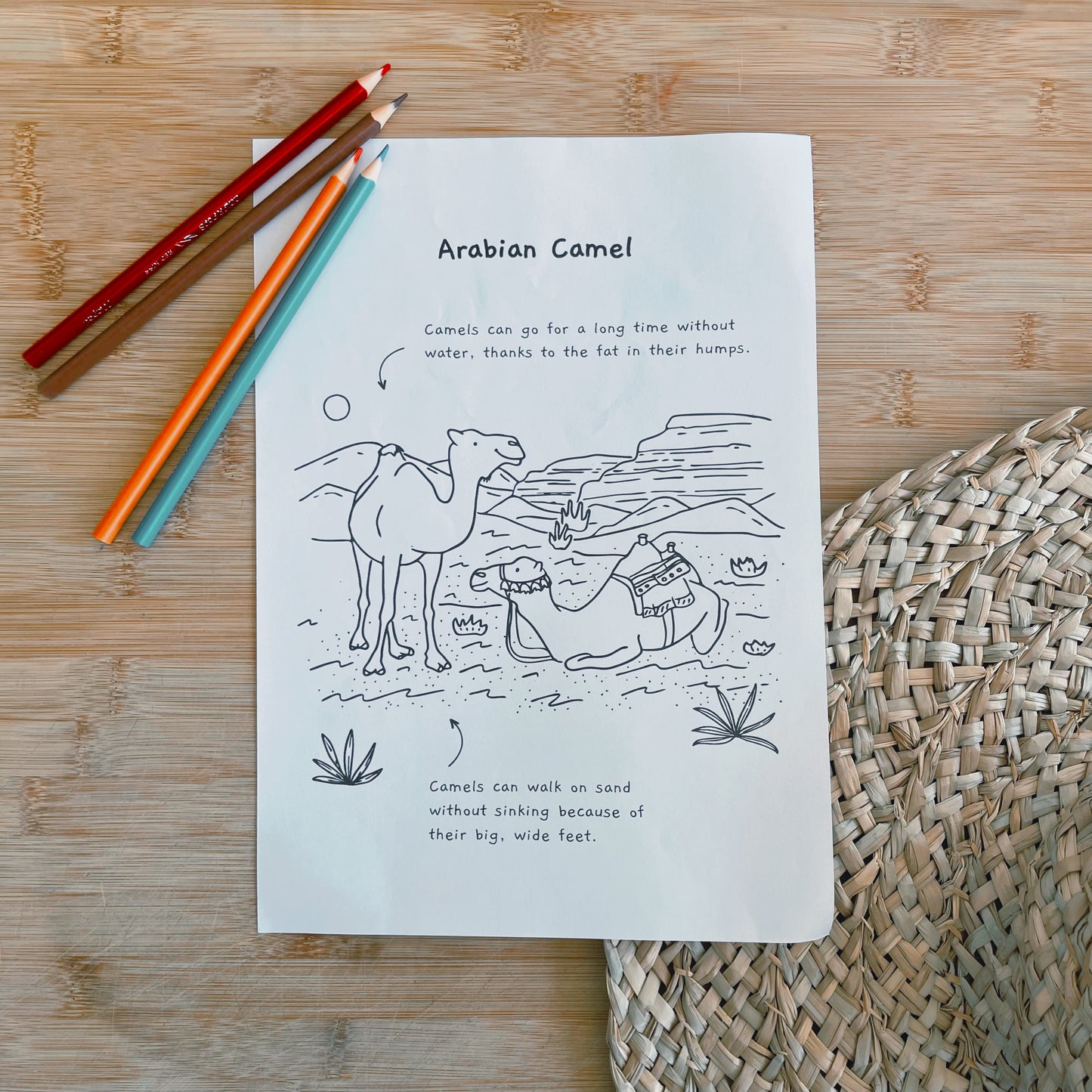 United Arab Emirates Colouring Pages  - PRINTABLE