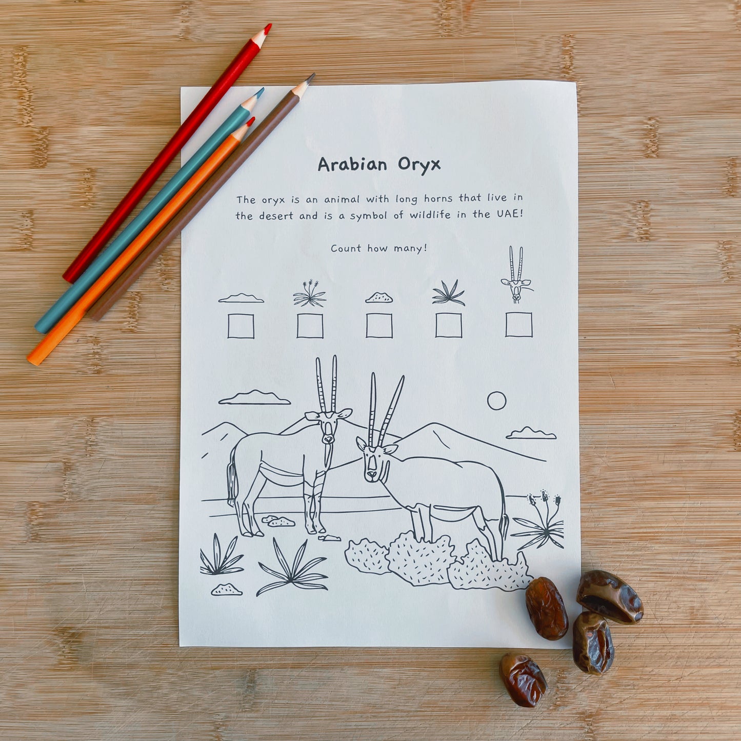 United Arab Emirates Colouring Pages  - PRINTABLE