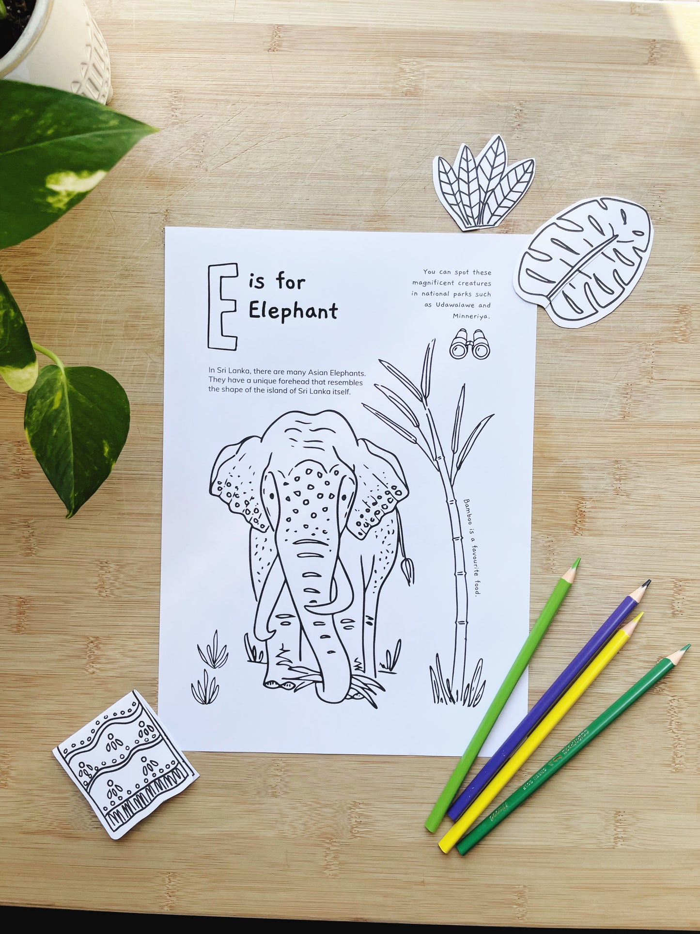 Sri Lanka Colouring Pages  - PRINTABLE