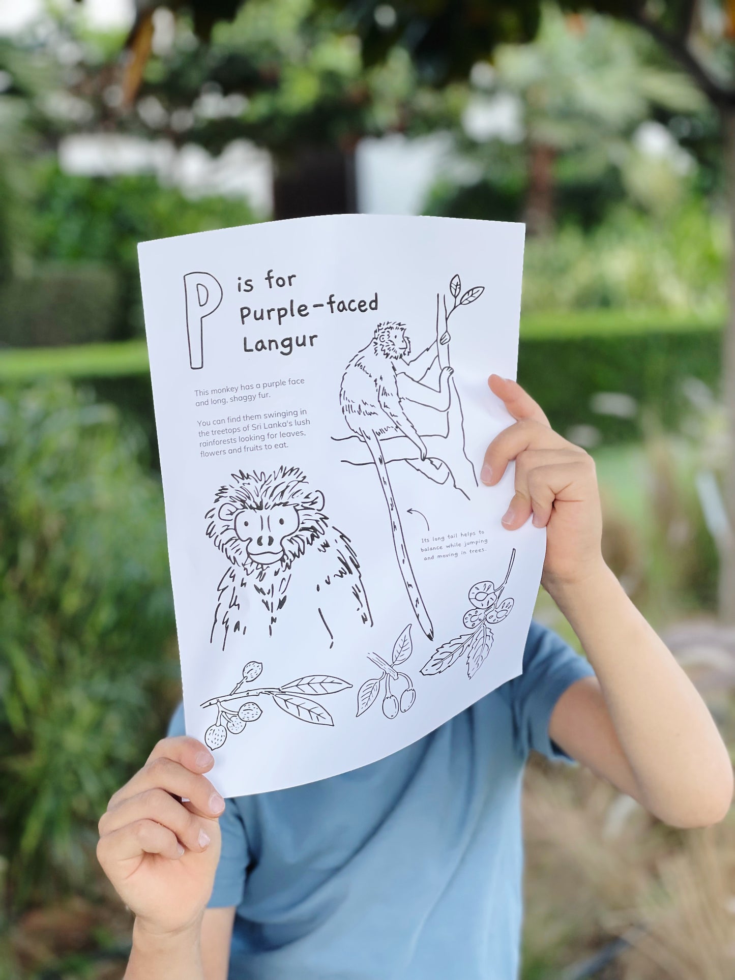 Sri Lanka Colouring Pages  - PRINTABLE