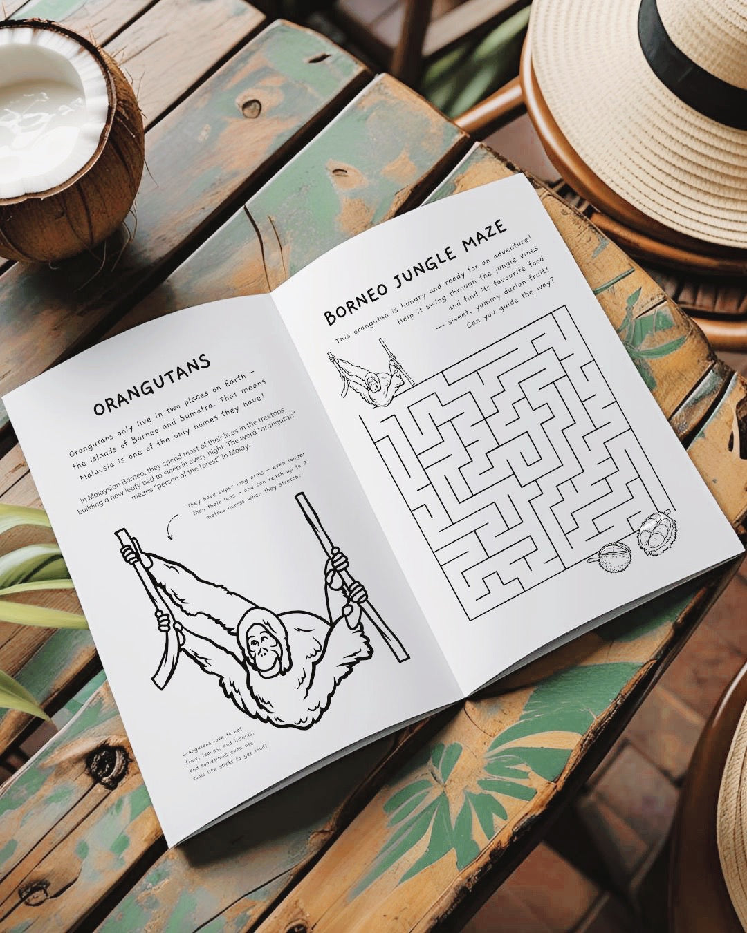 Malaysia Country Discovery Pack  - PRINTABLE